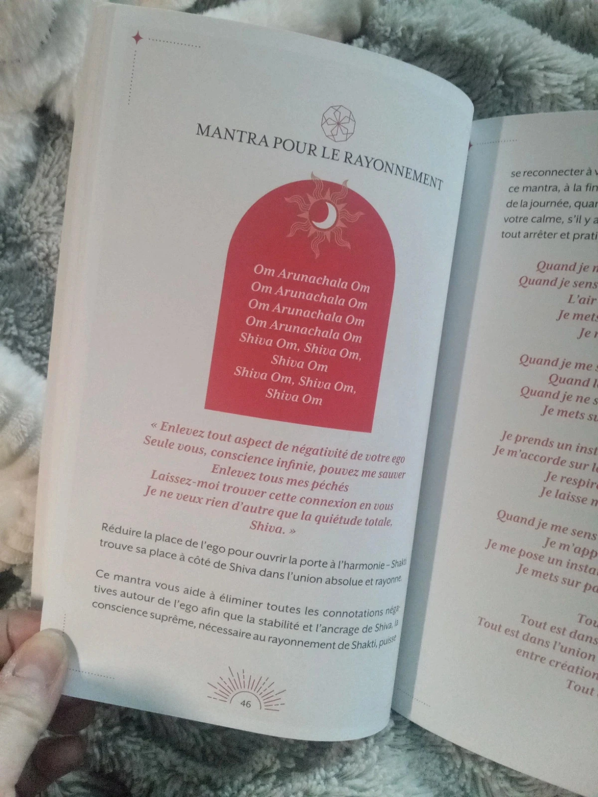 Yogaboek en rituelen van de 9 godinnen – photo 10